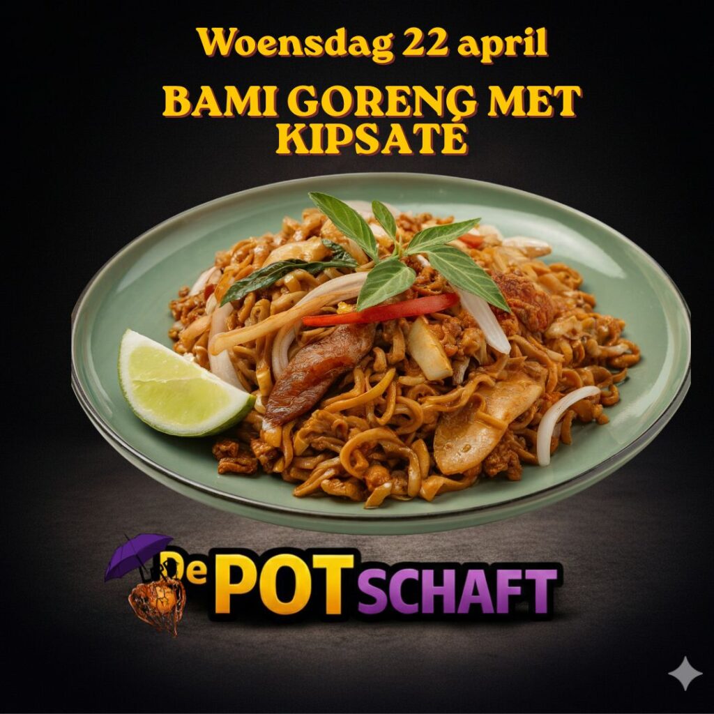 De pot schaft bami goreng